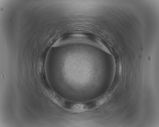 X0000085790227200703161132