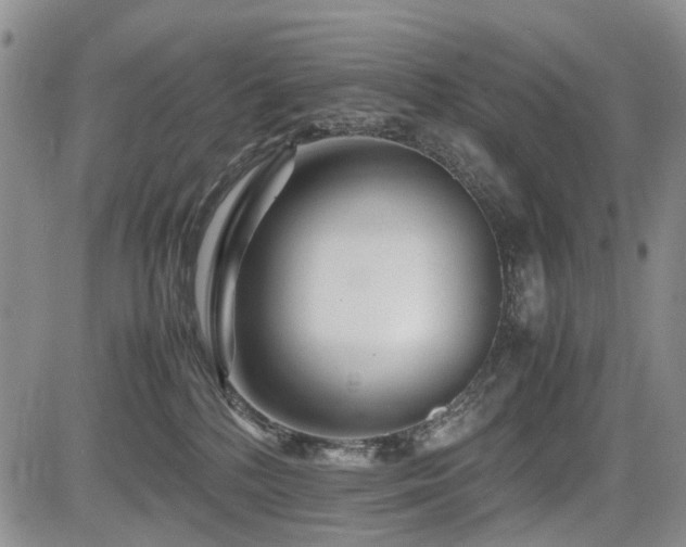 X0000085790232200703161132