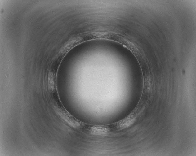X0000085790234200703161132