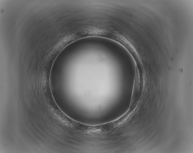 X0000085790257200703161131