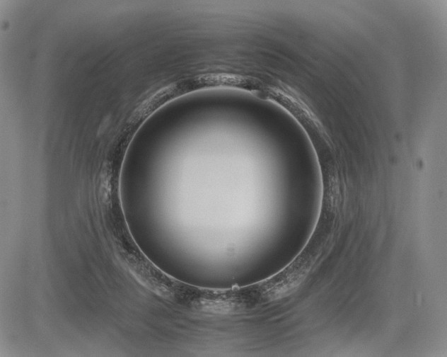 X0000085790259200703161131