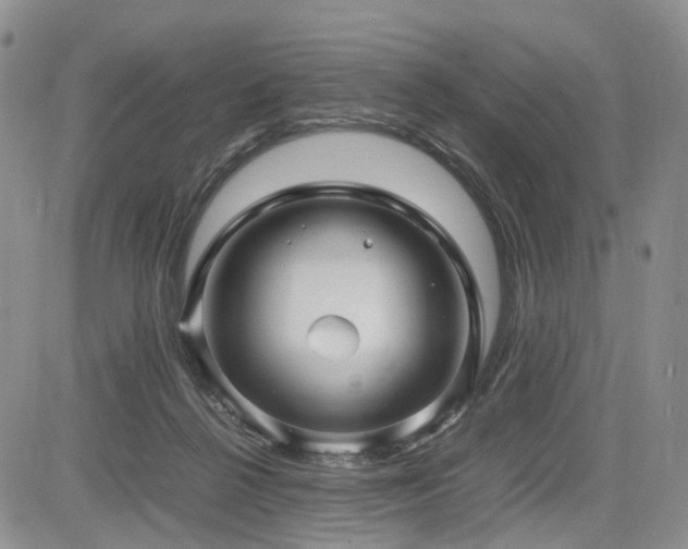 X0000085790264200703161131