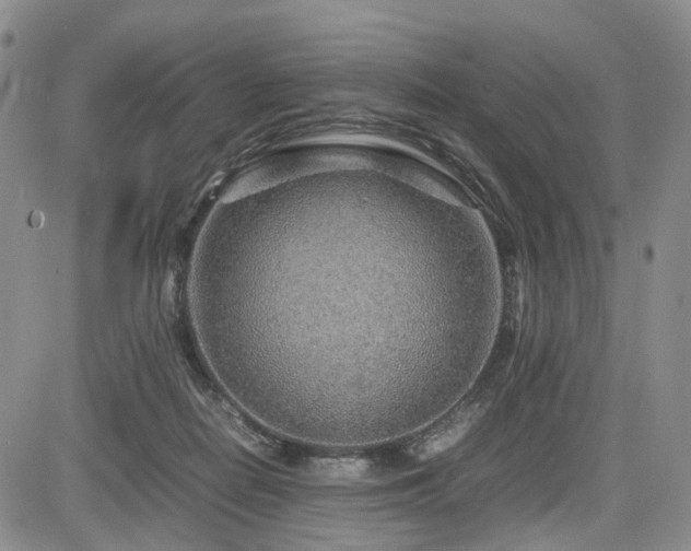 X0000085790266200703161131