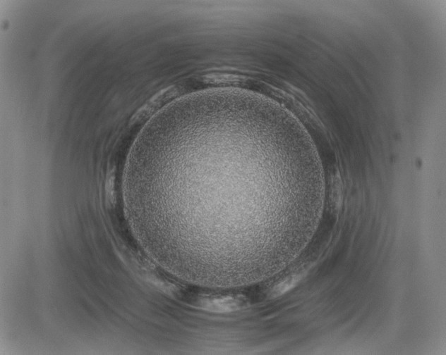 X0000085790267200703161131