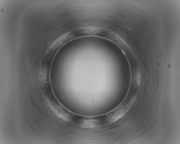 X0000085790268200703161131