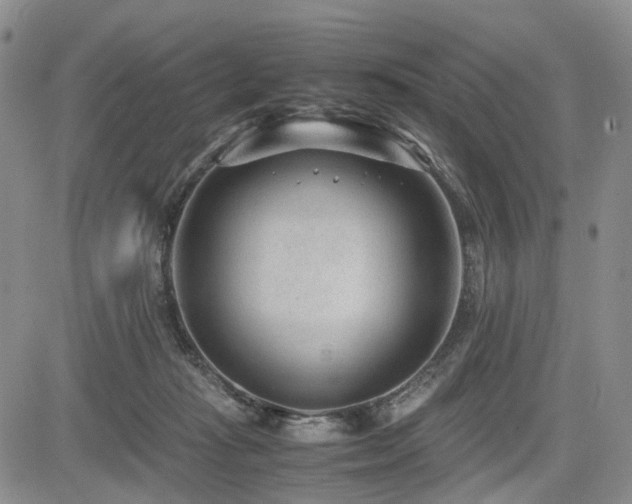 X0000085790269200703161131