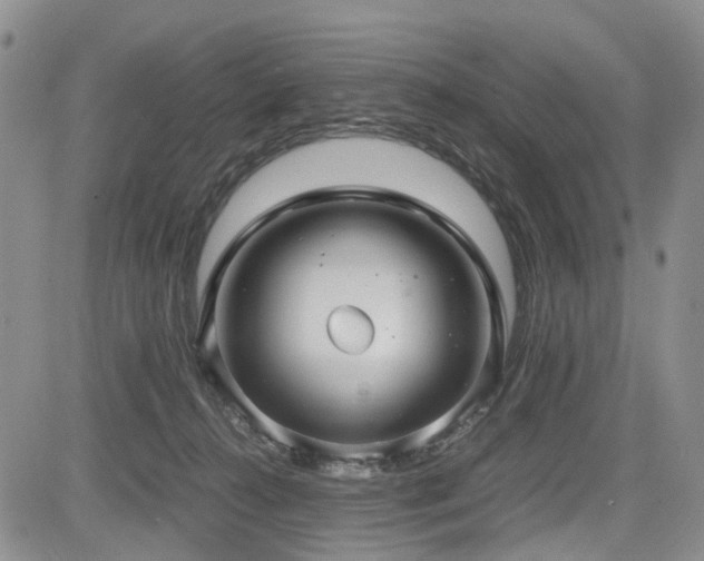 X0000085790272200703161131