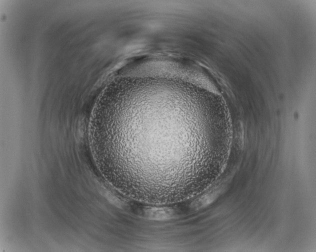 X0000085790277200703161132
