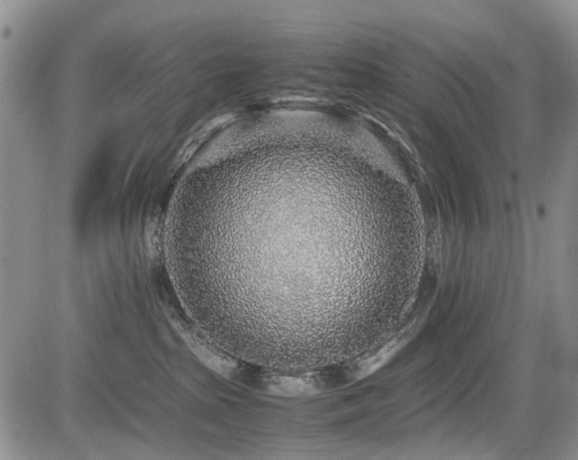 X0000085790285200703161132
