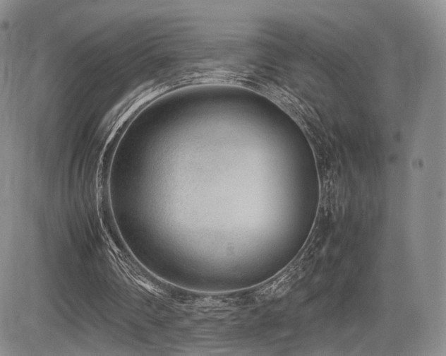 X0000085790290200703161131
