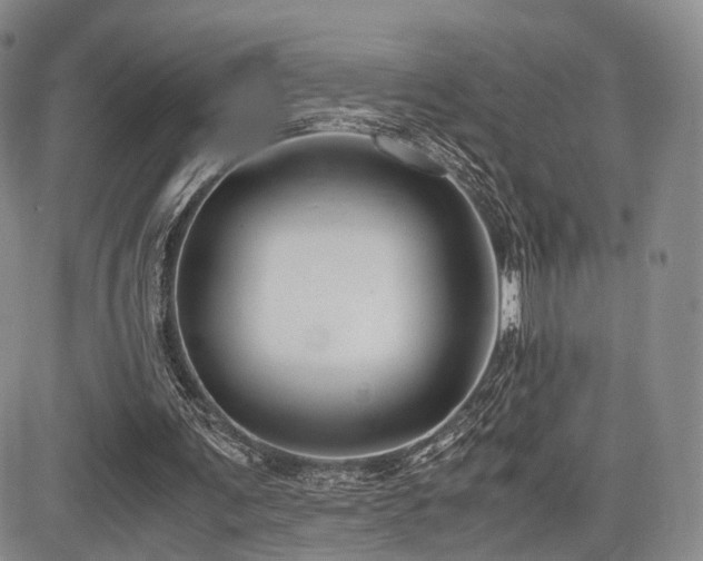 X0000085790291200703161131