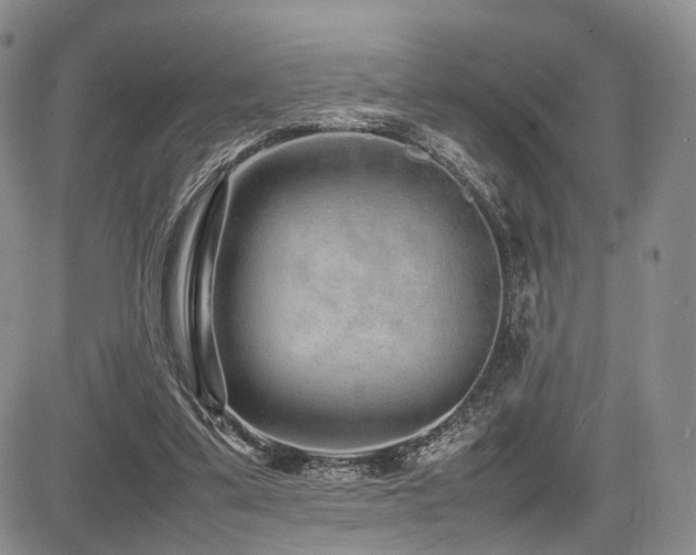 X0000085790299200703161131