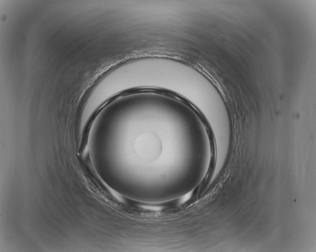 X0000085790301200703161131