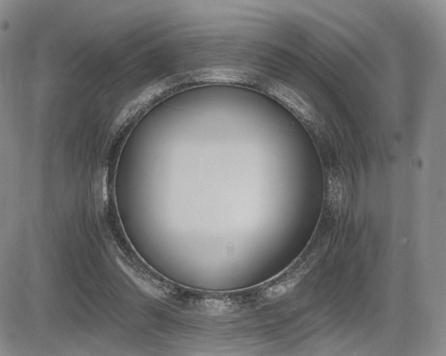 X0000085790302200703161131