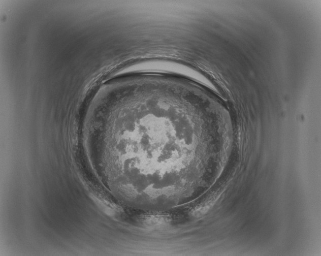 X0000085790303200703161131