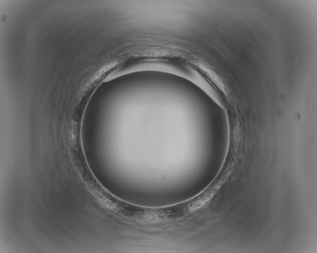 X0000085790305200703161131