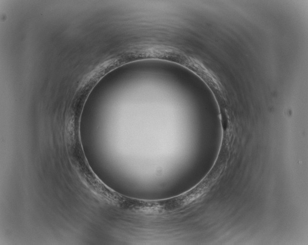 X0000085790306200703161131
