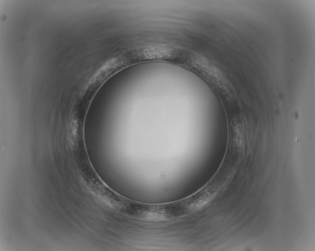 X0000085790308200703161131