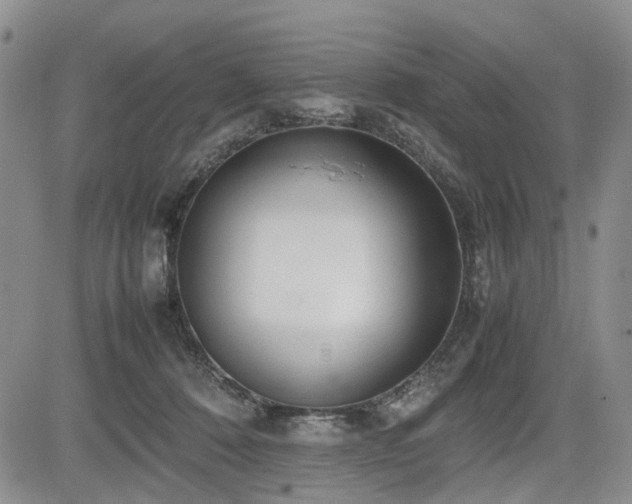 X0000085790320200703161130