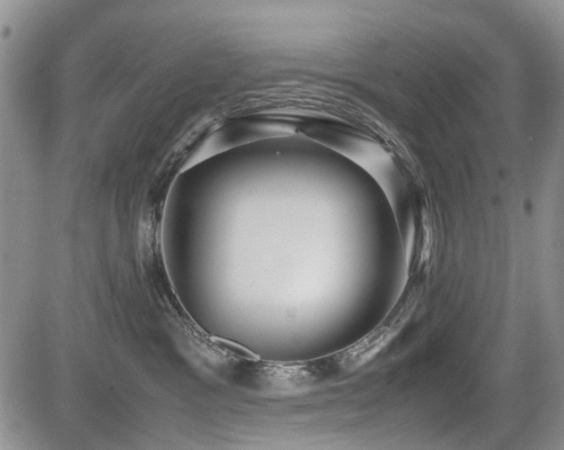 X0000085790333200703161130