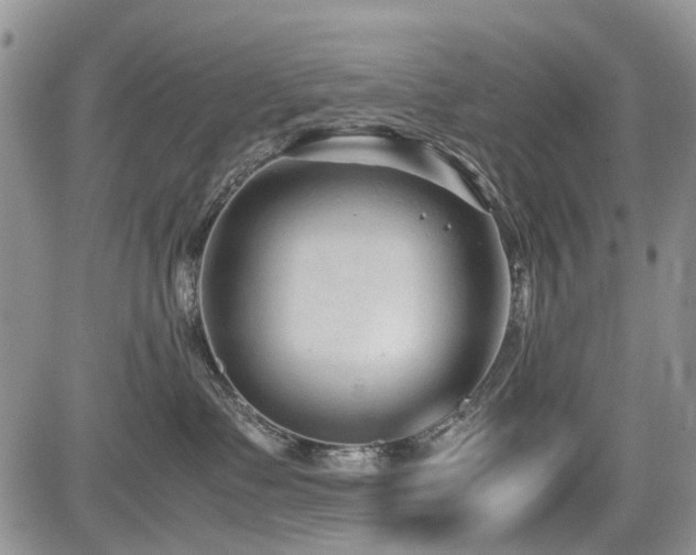X0000085790335200703161130