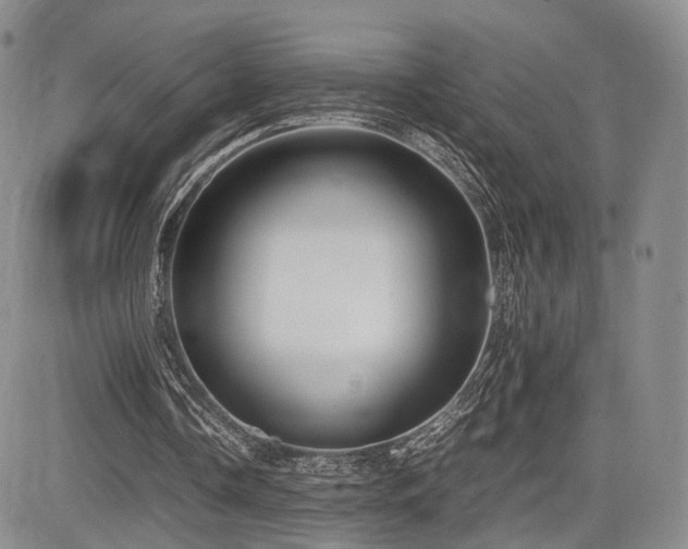 X0000085790338200703161129
