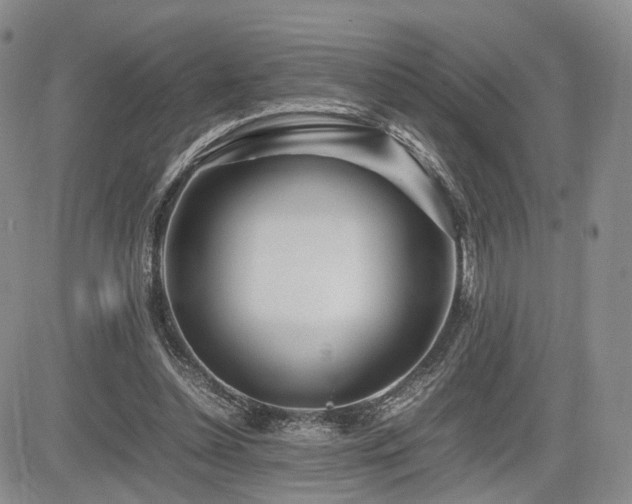 X0000085790348200703161129