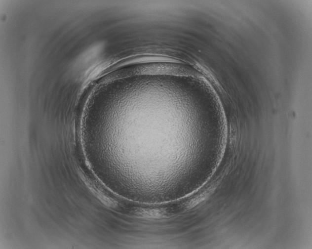 X0000085790349200703161129