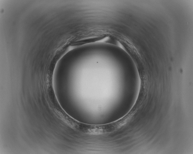 X0000085790362200703161130