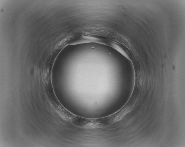 X0000085790364200703161130