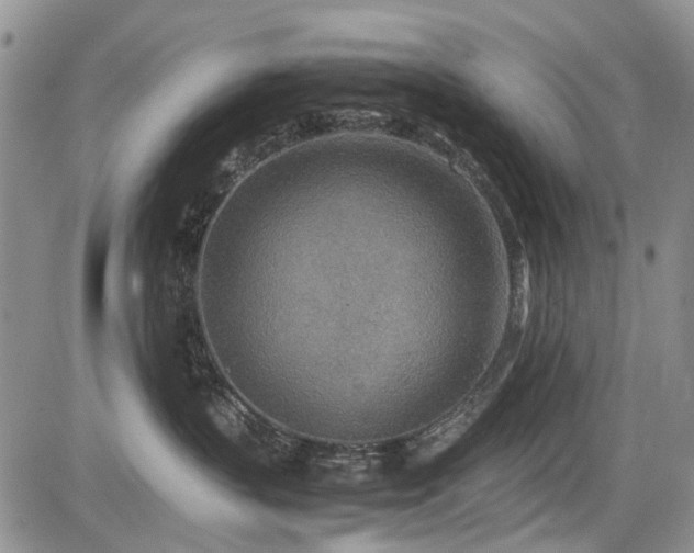 X0000085790383200703161130