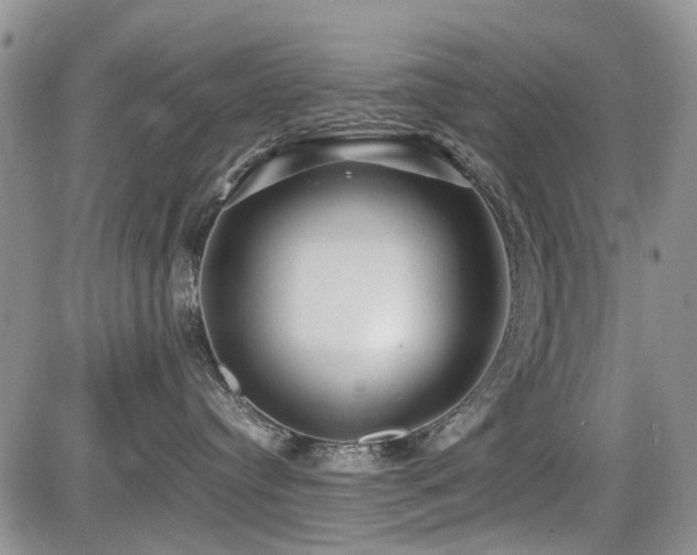 X0000085790384200703161130