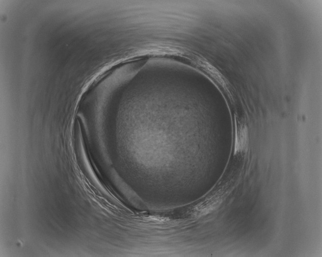 X0000085790387200703161129