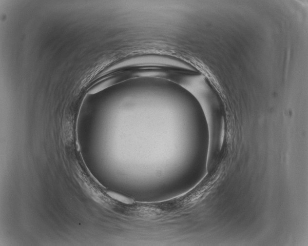 X0000085790393200703161129