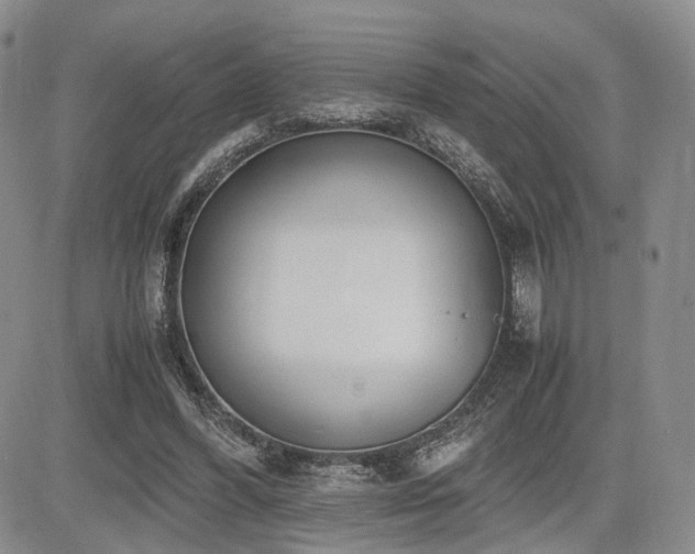X0000085790396200703161129