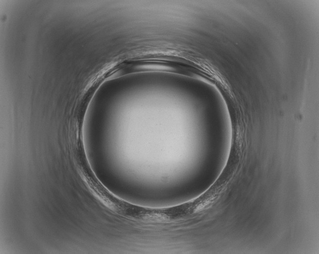 X0000085790397200703161129