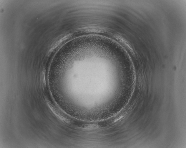 X0000085790398200703161129