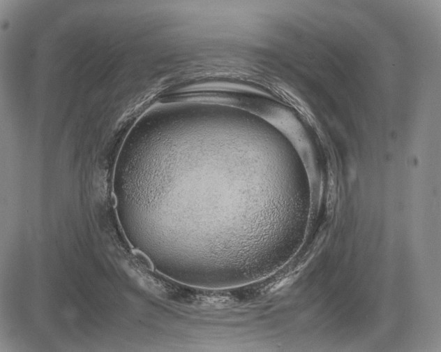 X0000085790401200703161129