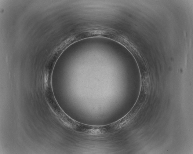 X0000085790406200703161129
