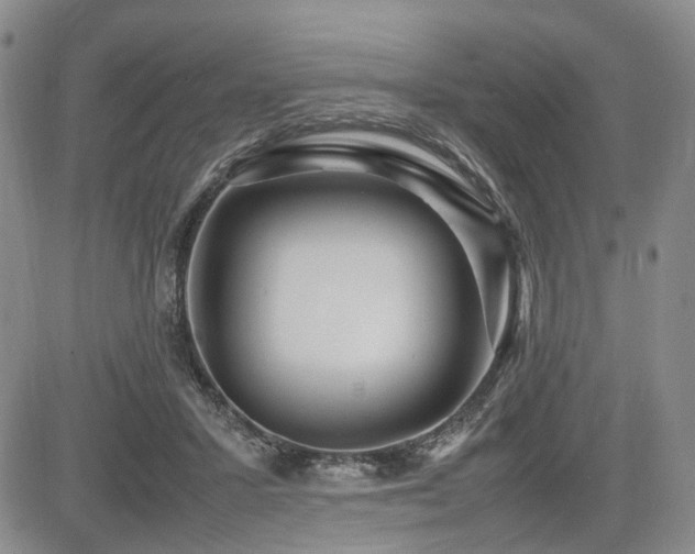 X0000085790407200703161129
