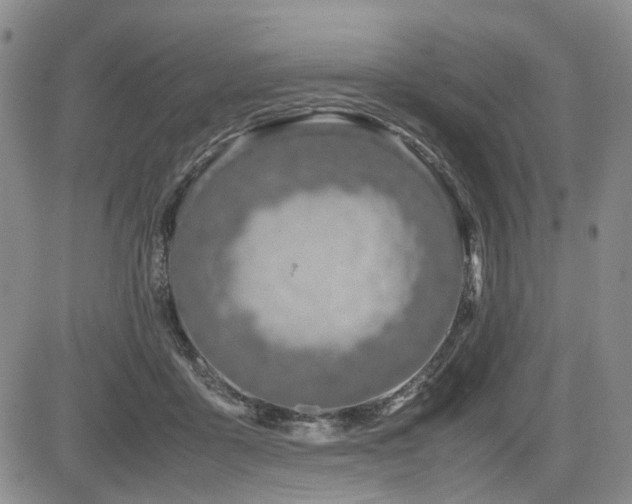 X0000085790411200703161129