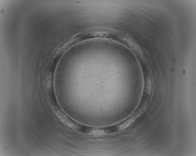 X0000085790413200703161129
