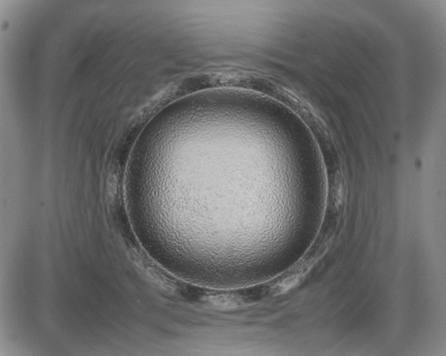 X0000085790417200703161129