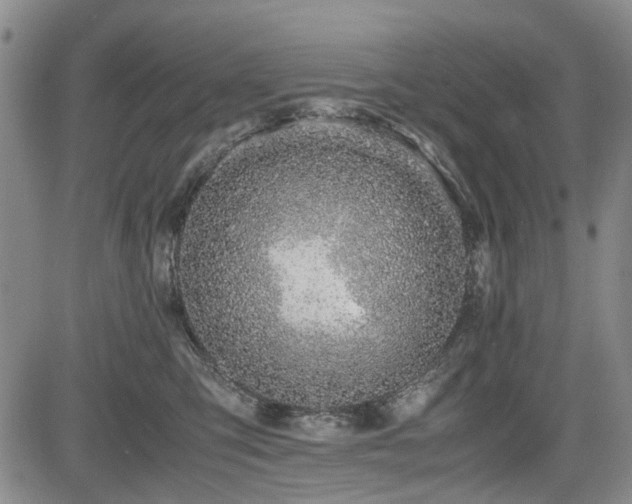 X0000085790423200703161129
