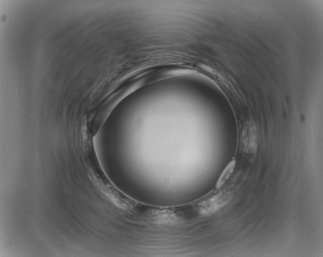 X0000085790424200703161129