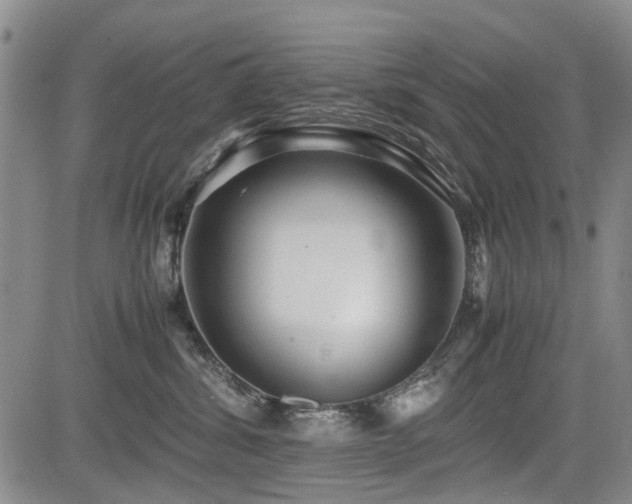X0000085790428200703161129