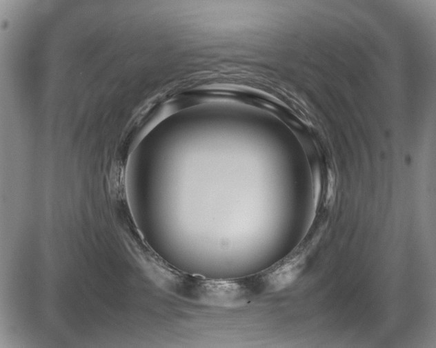 X0000085790429200703161128