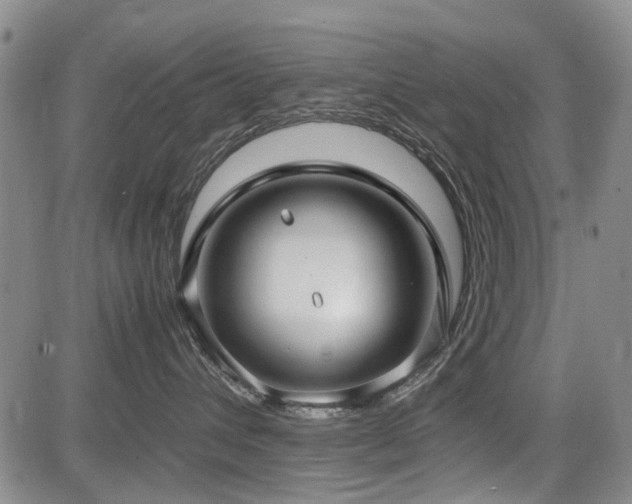 X0000085790432200703161128