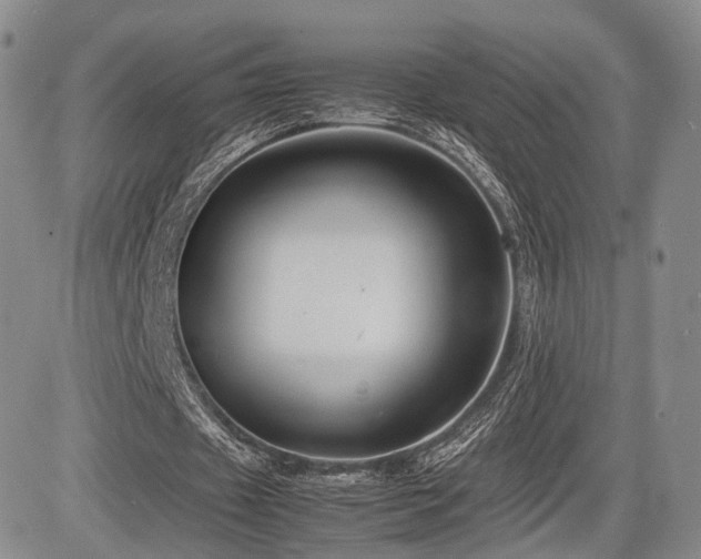 X0000085790433200703161128