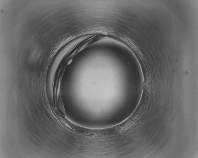 X0000085790434200703161128